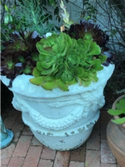 One of a Kind Succulent Planter